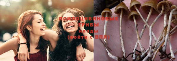 МДПВ Абаза